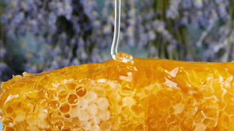 Close-up of wax honeycombs. Shooting macro. Healthy eating concept. Stock-Footage 313360400