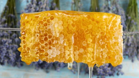 Close-up of wax honeycombs. Shooting macro. Healthy eating concept. Stock Footage 313364729