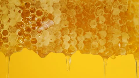 Close-up of wax honeycombs. Shooting macro. Healthy eating concept. 库存影片 313367402