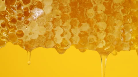 Close-up of wax honeycombs. Shooting macro. Healthy eating concept. Video stock 313907790