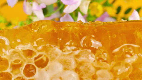 Close-up of wax honeycombs. Shooting macro. Healthy eating concept. Video stock 313908641