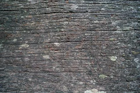 Close up of weathered aged timber texture with rough grain Fotos de archivo