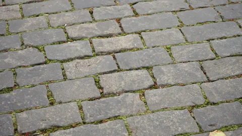 Close-up of weathered cobblestone pavement with green moss between rectangular Stock Footage 327530863