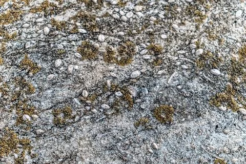 Close-up of weathered concrete surface with embedded pebbles 스톡 사진
