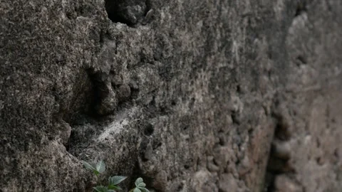 Close-Up of Weathered Concrete Wall Texture with Rough Surface Detail Stock Footage 336983883