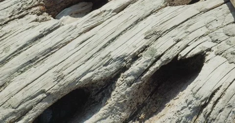 Close up of weathered driftwood texture with sun bleached grain Video stock 332244535