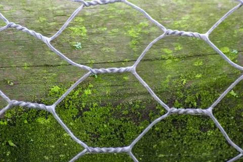 Close-up of a weathered hexagonal wire fence, commonly known as chicken wire, Stock Photos