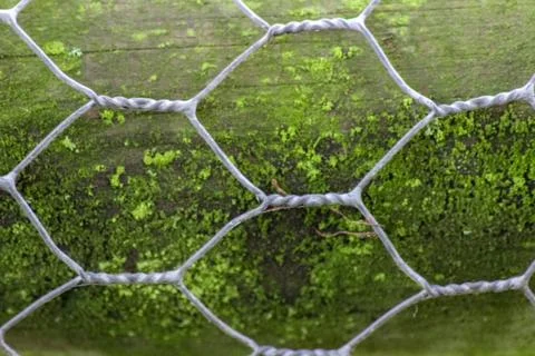 Close-up of a weathered hexagonal wire fence, commonly known as chicken wire, Foto stock