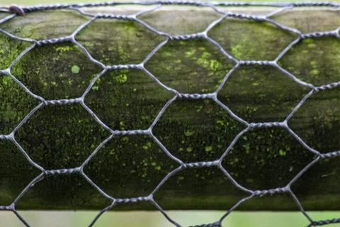 Close-up of a weathered hexagonal wire fence, commonly known as chicken wire, Stock Photos