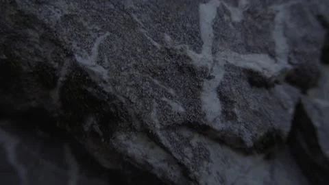 Close-up of Weathered Limestone Rock Surface with White Veins Stock Footage 289643381