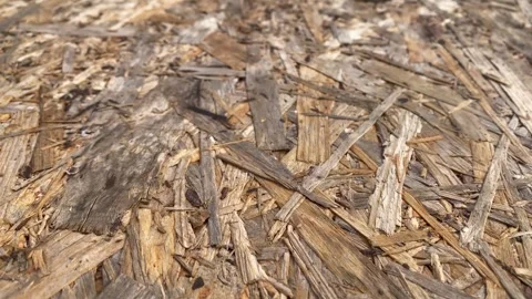 Close Up of Weathered Oriented Strand Board Wood Texture Stock Footage 340007361