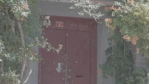 Close Up of Weathered Red Door with Flowers in Beijing Hutong Stock Footage 345470686