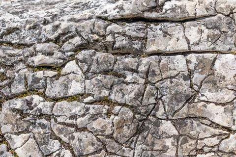 Close-up of weathered rocky surface with cracks and textures Stock Photos