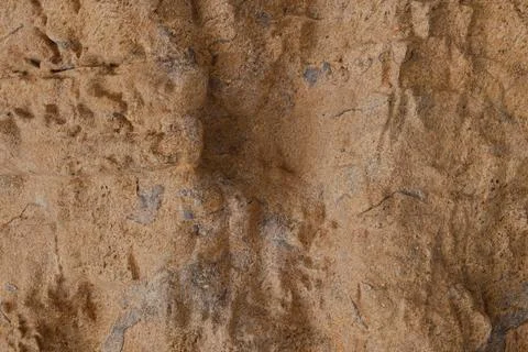 Close-up of weathered, rough sandy-brown rock surface with intricate natura.. Stock Photos