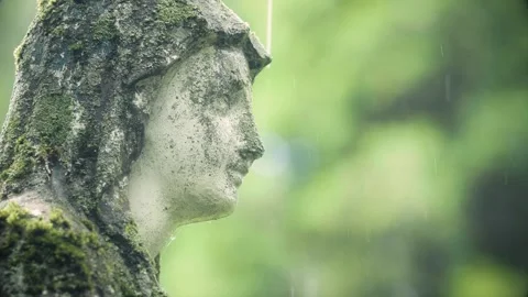 Close-up of weathered St. Mary statue during rainfall at Bernardine Cemetery Stock Footage 337304835