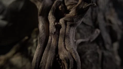 Close-Up of Weathered Wood in Shadow Stock Footage 289518147