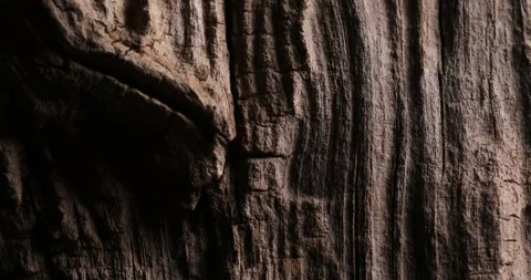 Close-Up of Weathered Wood Texture with Deep Grooves Stock Footage 286717142