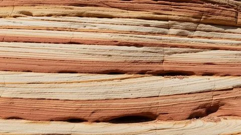 Close-up of weathered wood texture Stock Illustration