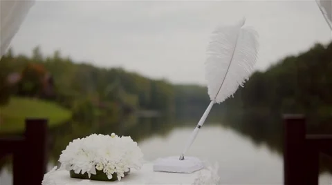 Close-up of wedding ceremony pen Stock Footage 46299610