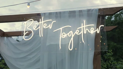 A close-up of wedding decor, a section of a wedding arch decorated with white Stock Footage 324815063