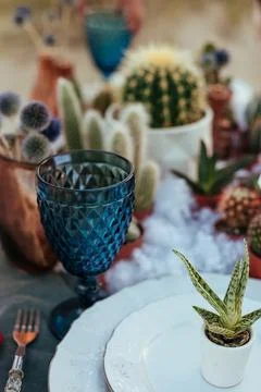 Close up of wedding decor with succulents Stock Photos