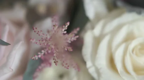 Close up of Wedding Flowers Stock Footage 57094711