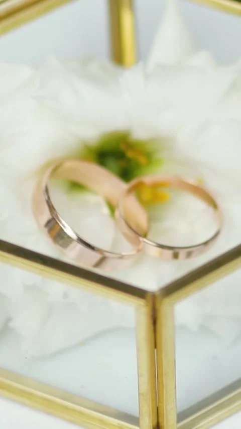 A close-up of wedding rings against a light background, symbolizing love Stock Footage 324479136