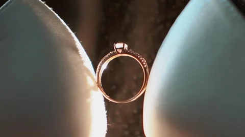 Close-up of the wedding rings of the bride and groom before the outdoor ceremony Видео 260829707