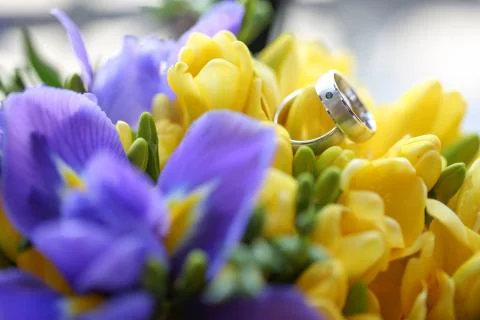 Close up of wedding rings Stock Photos