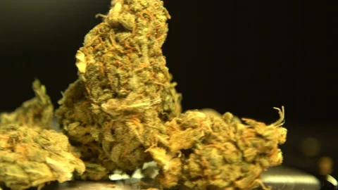 Close up of weed, dried high quality cannabis marijuana Stock-Footage 135015846