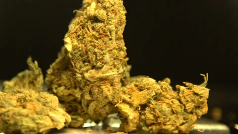 Close up of weed Stock-Footage 135018270