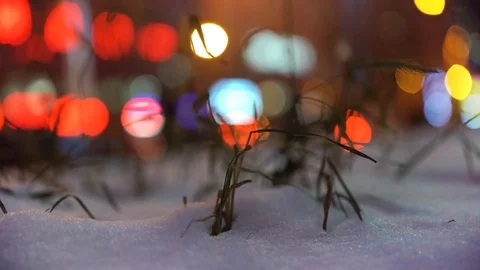 Close up of weed grass sprouting from the snow. China, Shenyang 스톡 동영상 84714861