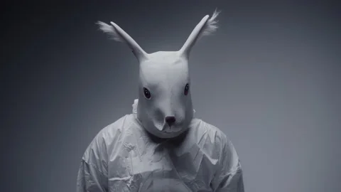 Close up of a weird, white rabbit in a laboratory. Stock Footage 148488377