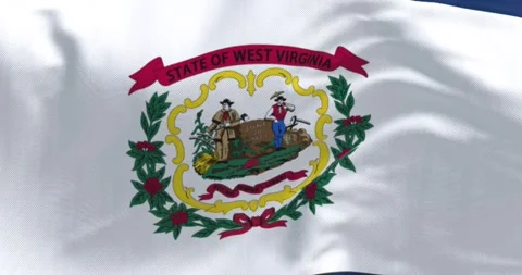 Close-up of West Virginia state flag waving in the wind Stock-Footage 253993567