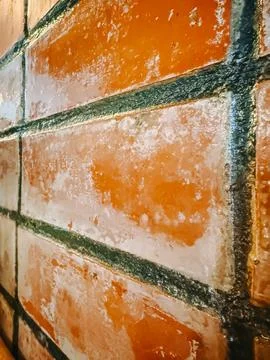 Close-Up Wet Brick Wall Texture with Mineral Deposits Stock Photos