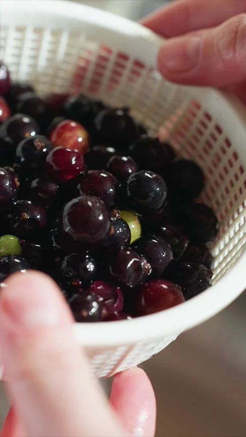 Close up of wet dark purple red green grapes in white mesh colander being Stock Footage 344423466