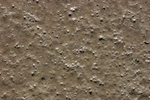 Close up of wet mud in a marsh Stock Photos
