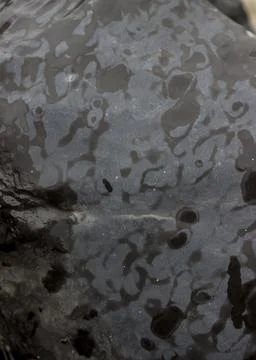 Close-up of wet stone texture Stock Photos