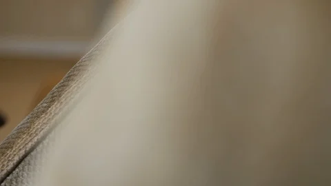 Close up on wet vacuum cleaning a couch cusion while camera moves from around Stock Footage 85864593