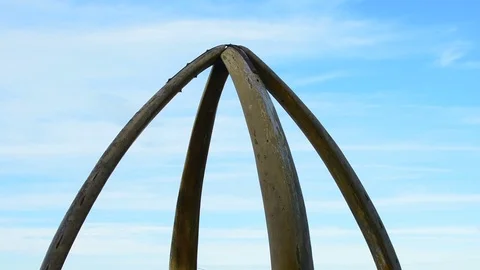 Close-up of the Whalebone Arch in Stanley Video stock 82846821