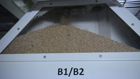Close-up of wheat being cleaned in a machine inside the flour milling 動画素材 102514541