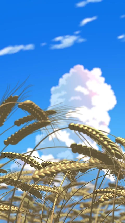 Close-Up of Wheat Field in Summer – Anime Style Nature Background Stock Footage 341270376