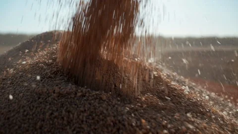 Close-up wheat grains fall into cereal heap 库存影片 98103243