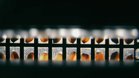 Close-up of Wheat Grains in Quality Control Analysis. Macro shot of wheat grains Stock Footage 262000214