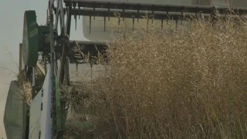 Close up of wheat harvester Stock Footage 125066290