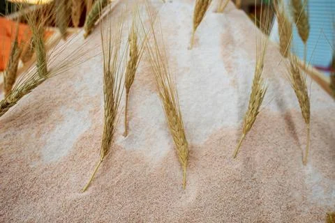 Close-Up of Wheat Stalks on Rustic Flour Background Stock Photos
