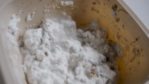 Close-up of White and Black Mold Growing on Spoiled Food. Top view of fluff.. 스톡 동영상 331971114