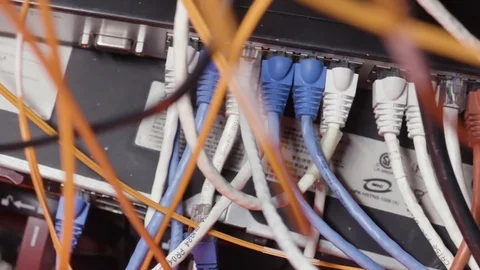 Close up for white and blue network cables connected to switch in the server Stock Footage 116204752