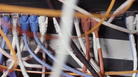 Close up for white and blue network cables connected to switch in the server Stock Footage 116205036