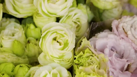 Close Up of White and Pink Eustoma Flowers with Bees Video stock 338377900